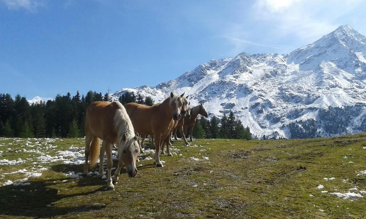 Landhaus Alpenjager Apartment Soelden  Solden